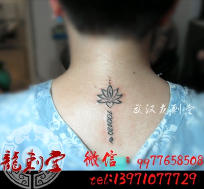 ������������ͳ�����