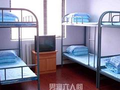 ������ѵѧԱ����