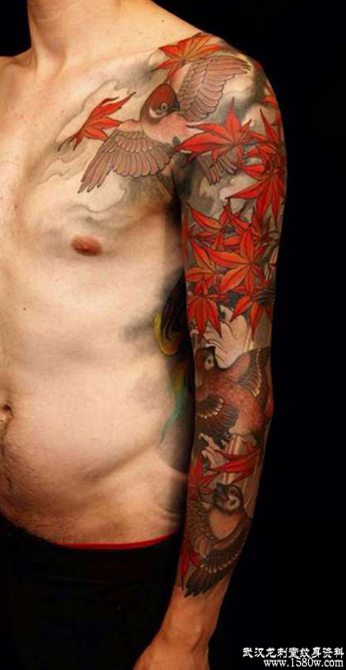 ���ӷ�Ҷ��������