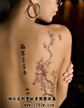 ÷��������������