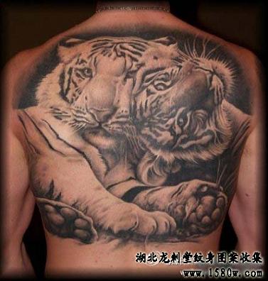 �����ϻ�������������