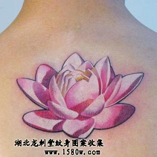 ����������������