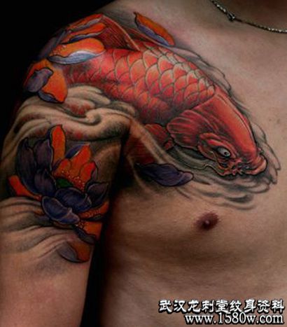 ��������������