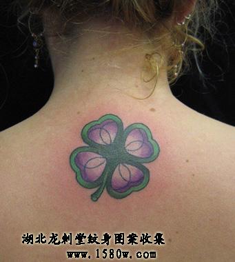 ������Ҷ��������������