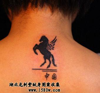 ����������������