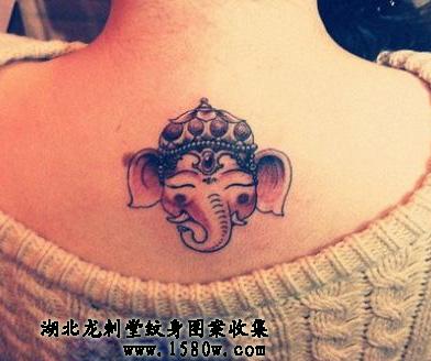 �����������������