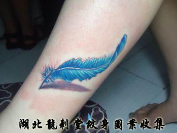 ������ë����ͼƬ