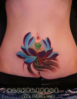 �ɻ�������������