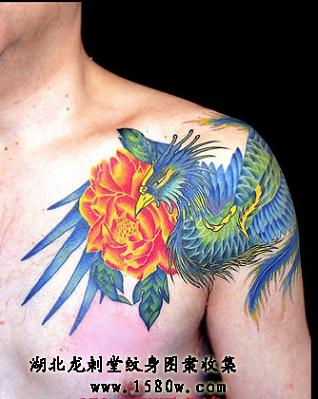 ĵ���������