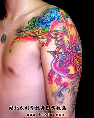 �ﴩĵ�������������