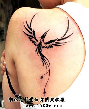 ͼ�ڷ������