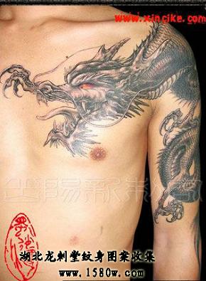 ����������ͼ