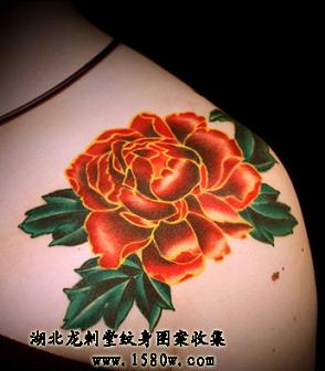 ĵ���������粿����