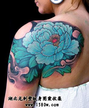 ĵ���������粿����ͼ��