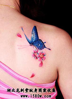 ����ӣ�������粿����