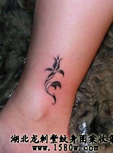 ����ͼ�������Ų�����