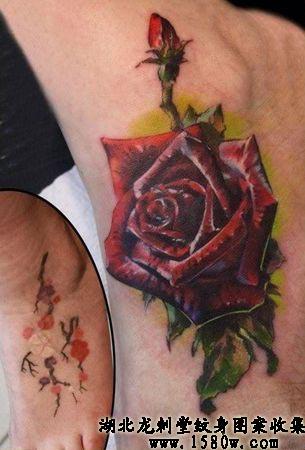 3Dõ�廨�����Ų�������