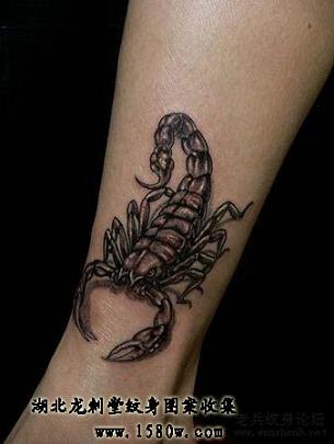 3DЫ�������Ų�����