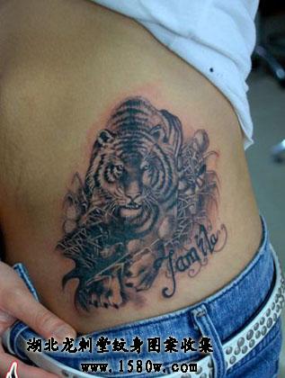 �ϻ�����ͼ��