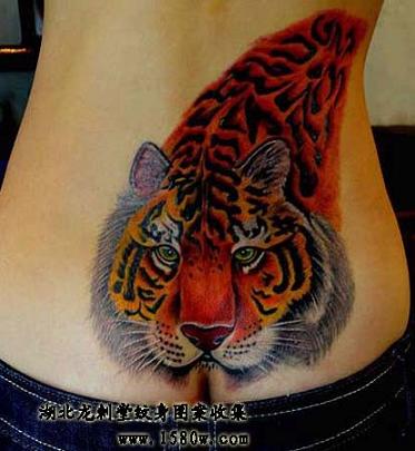 ��Ů�����ϻ�����ͼƬ