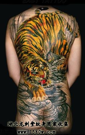 ��ɽ�������ϻ�����