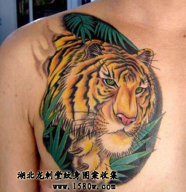 �ز������ϻ�����