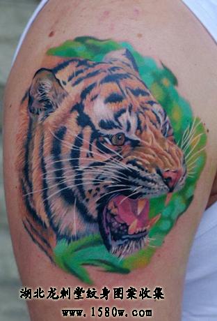 �����滢ͷ����