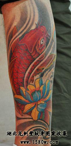 ��������������������