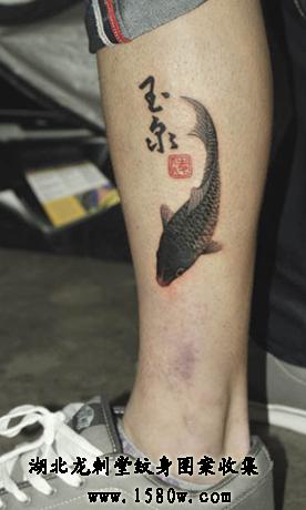 �Ȳ���������