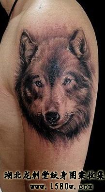 �����ͷ����