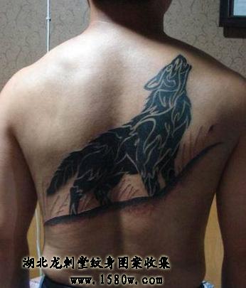 ͼ��������