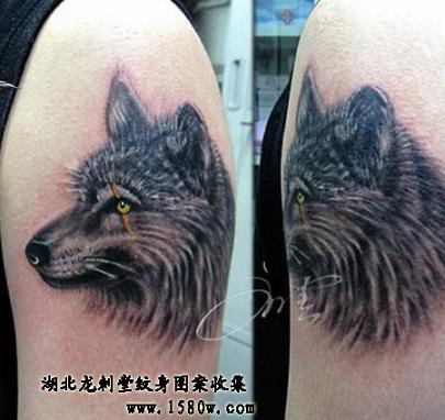 ��ͷ����ͼ��