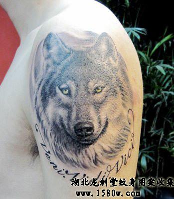 ˧����ͷ����ͼ��