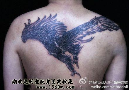 ��ӥ����ͼ����ӥ����