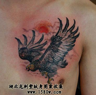 ��ӥ����������ӥ����