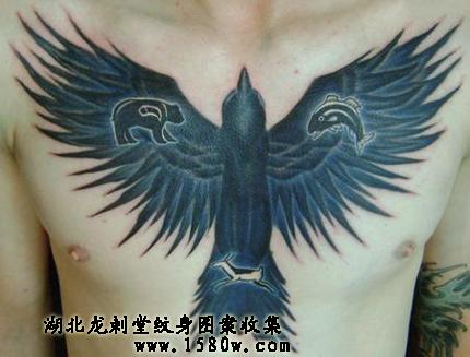 ������ӥ����