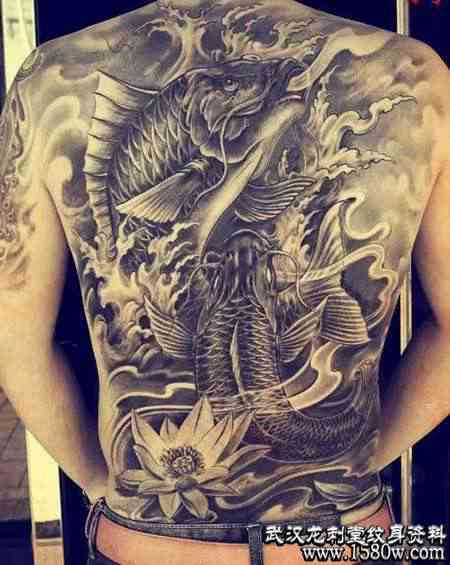 ����˫����������������