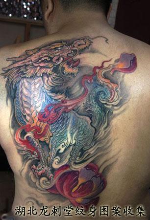 ���λ���������ͼƬ