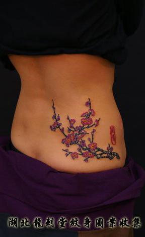 ��ʽ÷������ͼ��