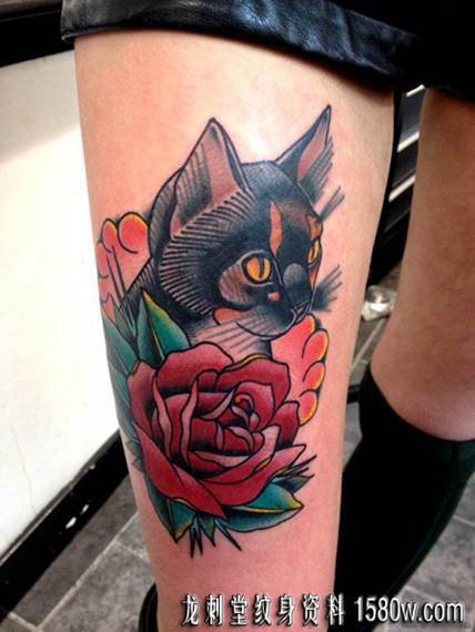 school&nbsp;&nbsp;è������è��õ