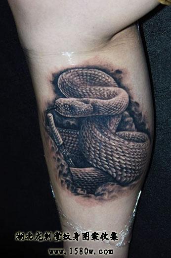 3D������β������