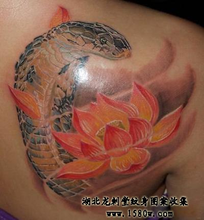 �����۾�������