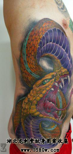 �׶���������ͼ��