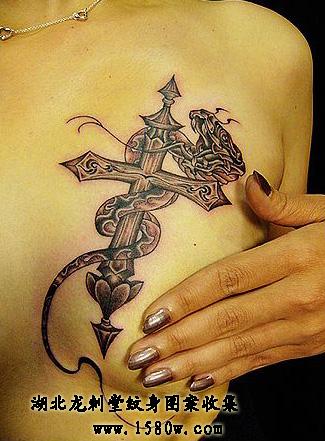 ������������ͼ��