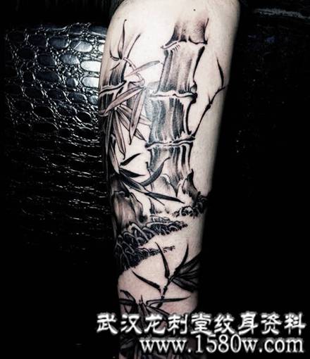 ˮī��������