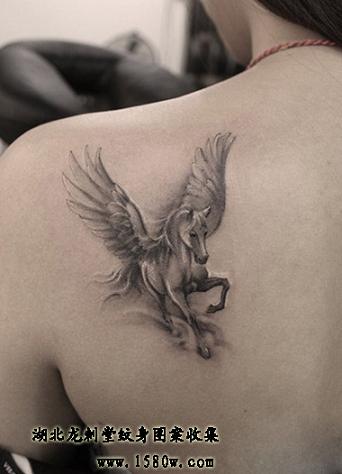 ����������������ͼ