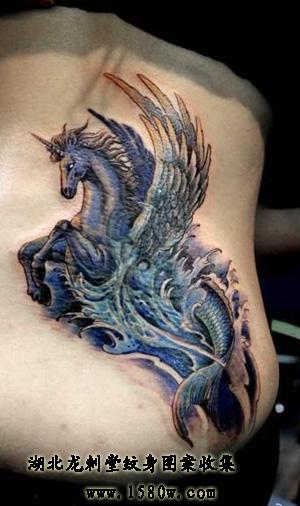 ����������������������