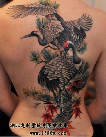 �ɺ�������������