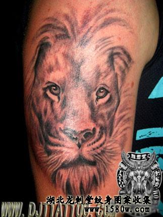 ʨ������ͼ��