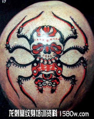 ͷ������֩������ͼ��